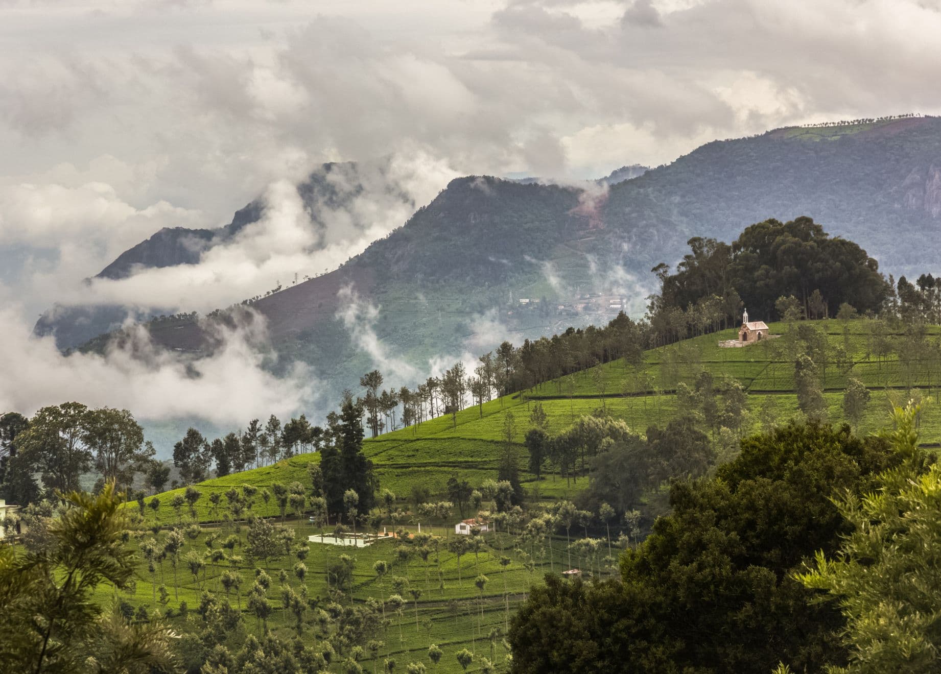 Hotel grounds with a view of the Nilgiri hills at Savoy, Ooty - IHCL SeleQtions