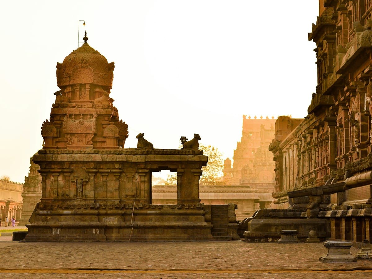 Carved stone shrine figures of the Brihadeeswarar temple at Thanjavur lit by warm sunrise light.