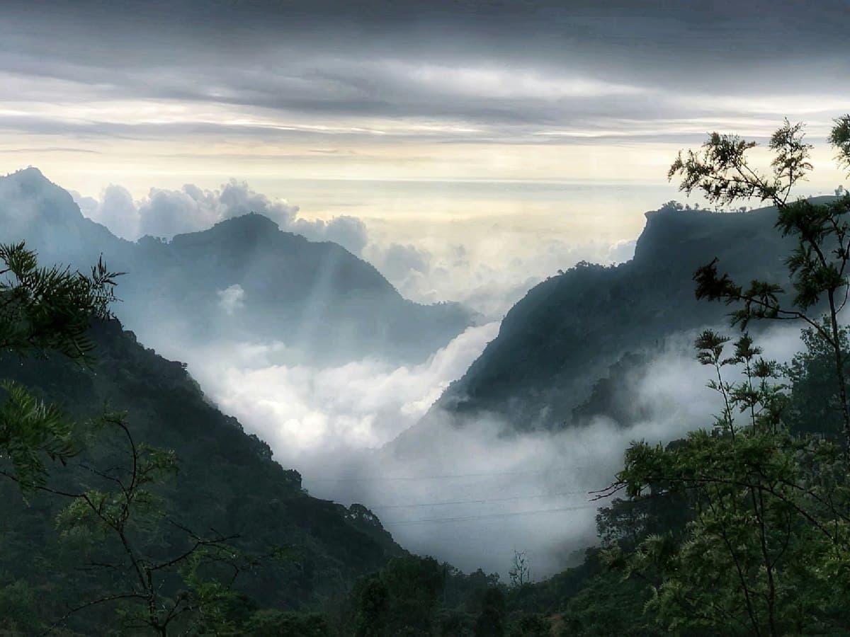 A cloud-wrapped forested mountain range on the road up to Kotagiri in the Nilgiris.