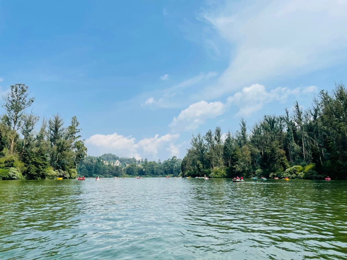 The wooded shore of Ooty Lake under a clear sky on a sunny day.