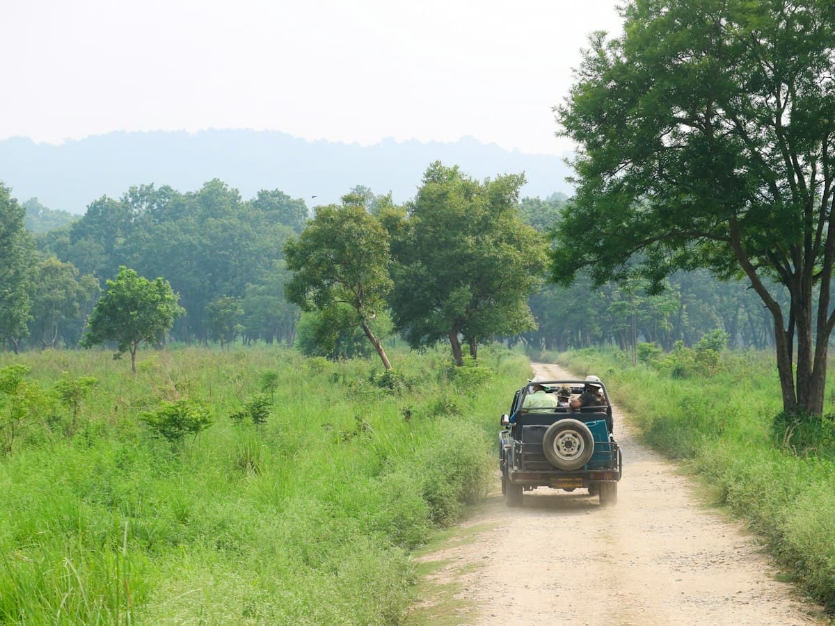 An open Maruti Gypsy safari jeep crosses the grasslands of Jim Corbett National Park