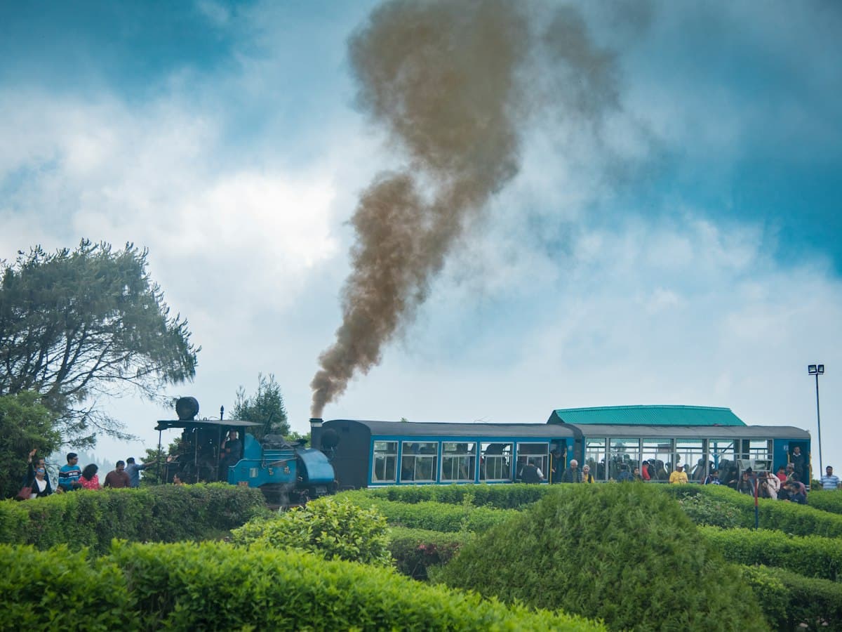 The Darjeeling Himalayan Railway toy train moving through lush green countryside, West Bengal