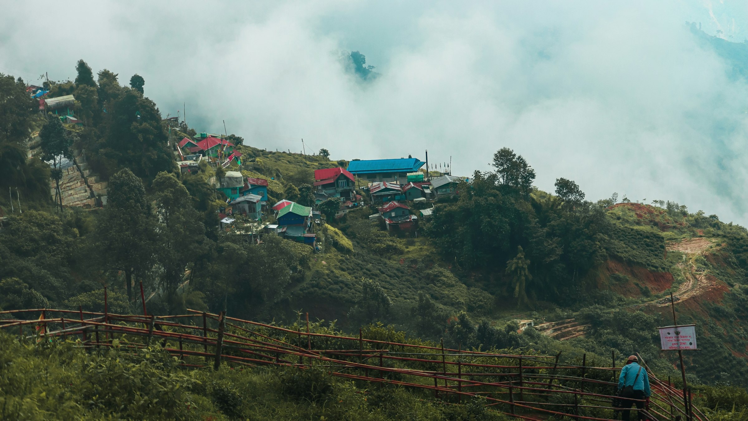 A foggy hillside tea garden in Darjeeling, West Bengal, mountains wrapped in mist