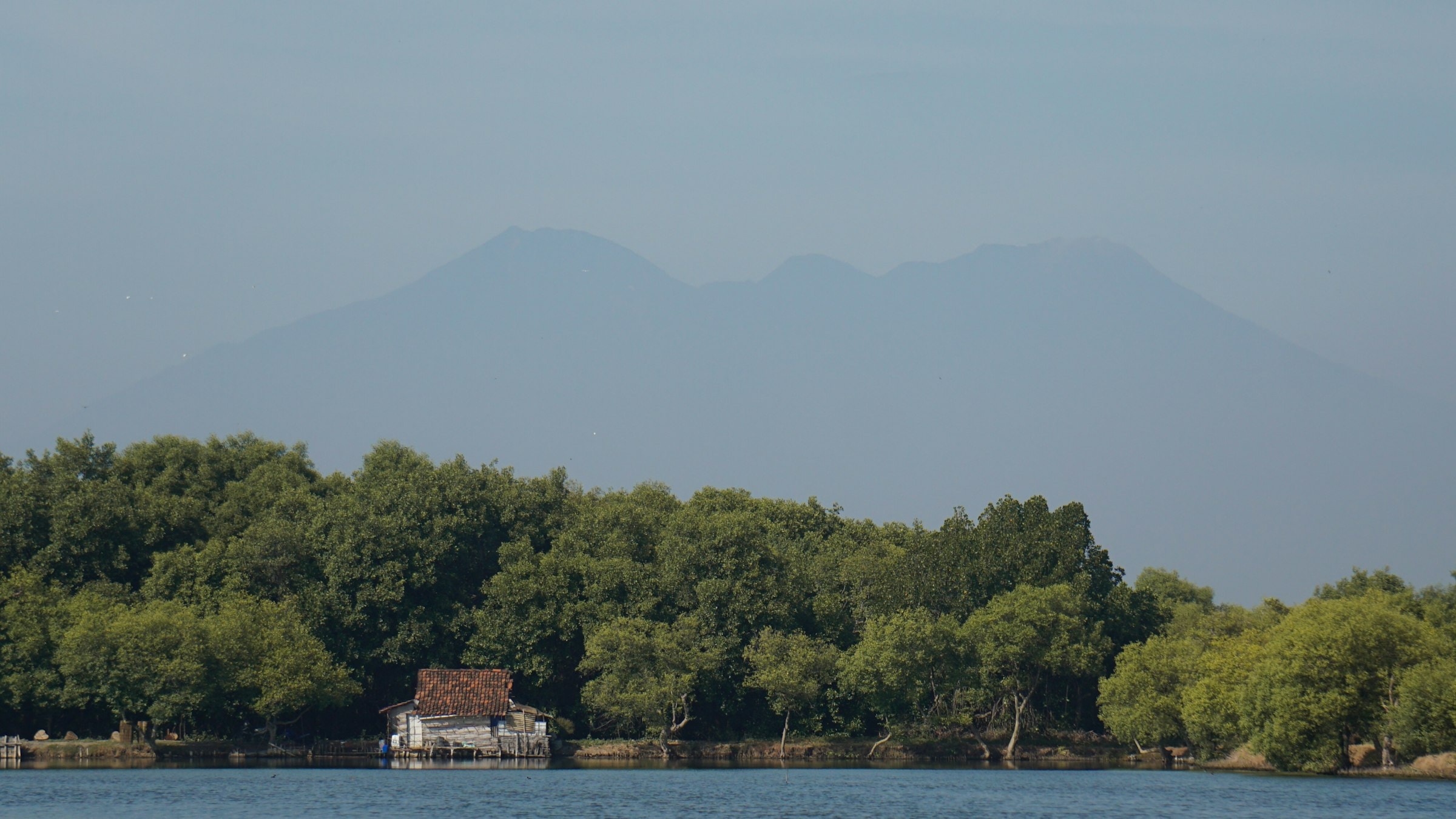 A body of calm water bordered by green trees, mangrove-forest conservation area