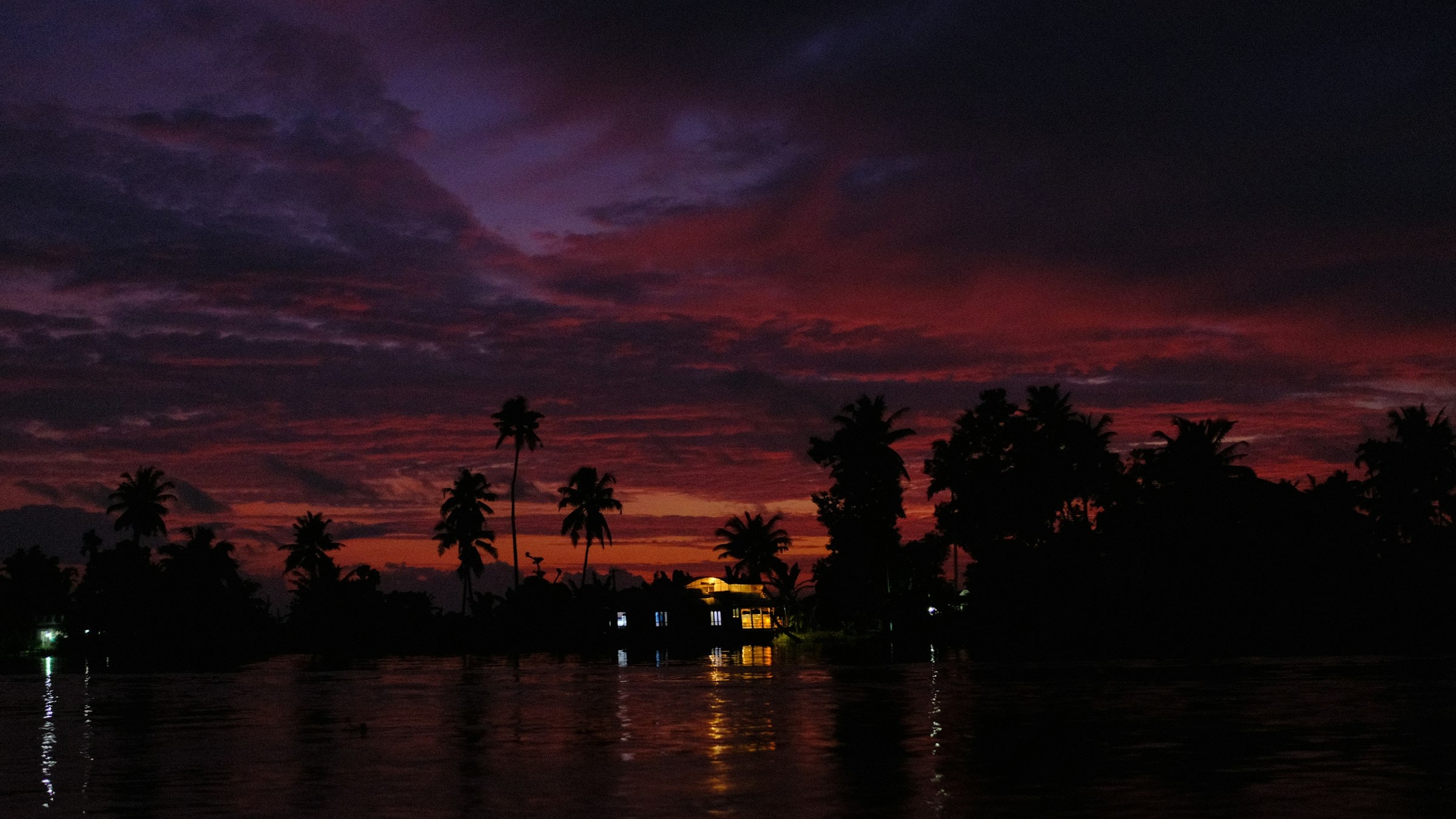 Palm trees silhouetted against a fiery sunset over the Kerala backwaters at Alleppey