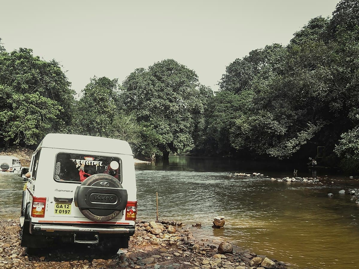 Safari jeep crossing a forest stream on the way to Dudhsagar Falls
