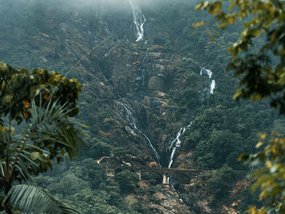 Dudhsagar Falls cascading through forest on the Goa border