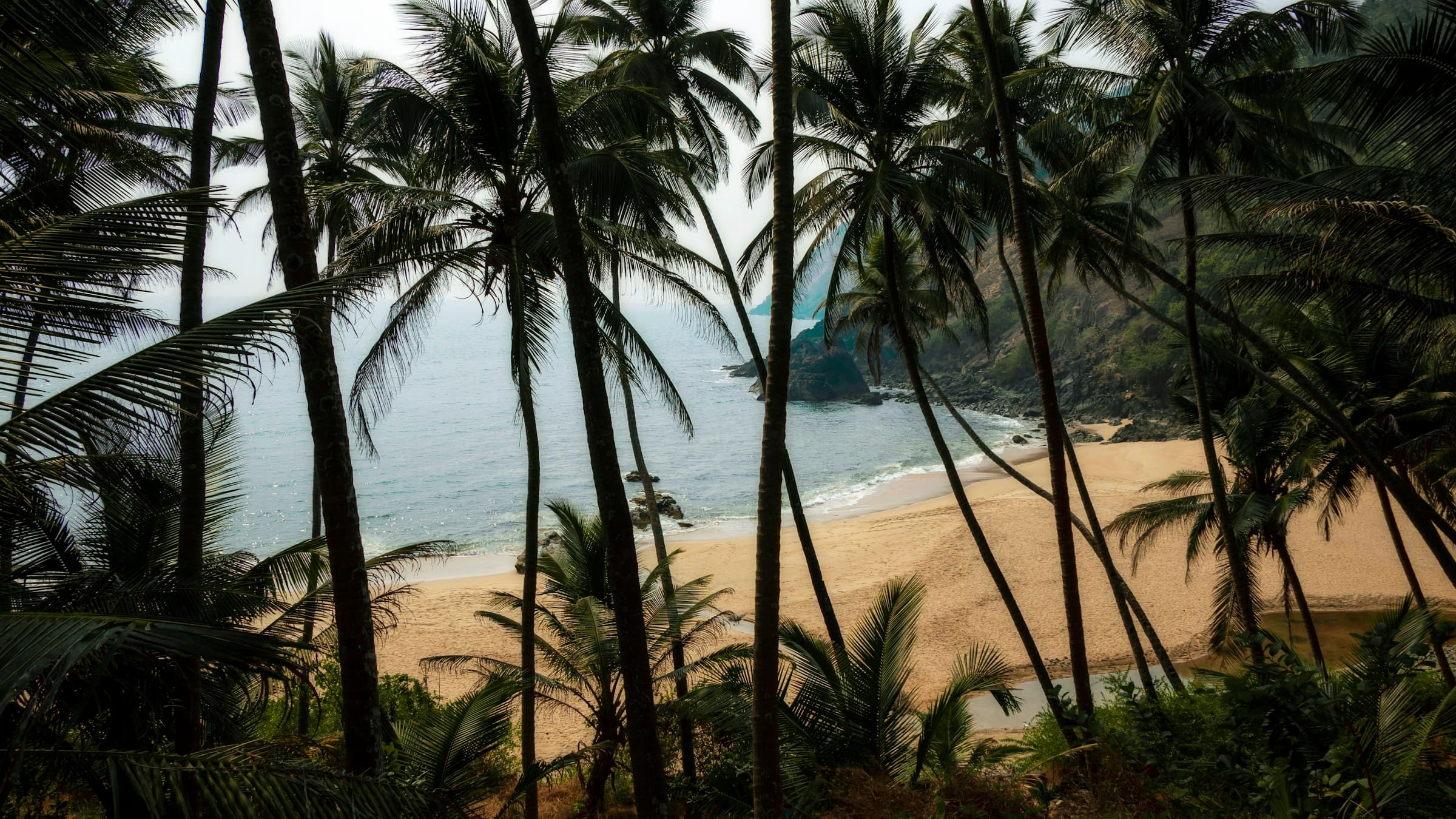 Palm-fringed sandy beach at Kakolem, South Goa