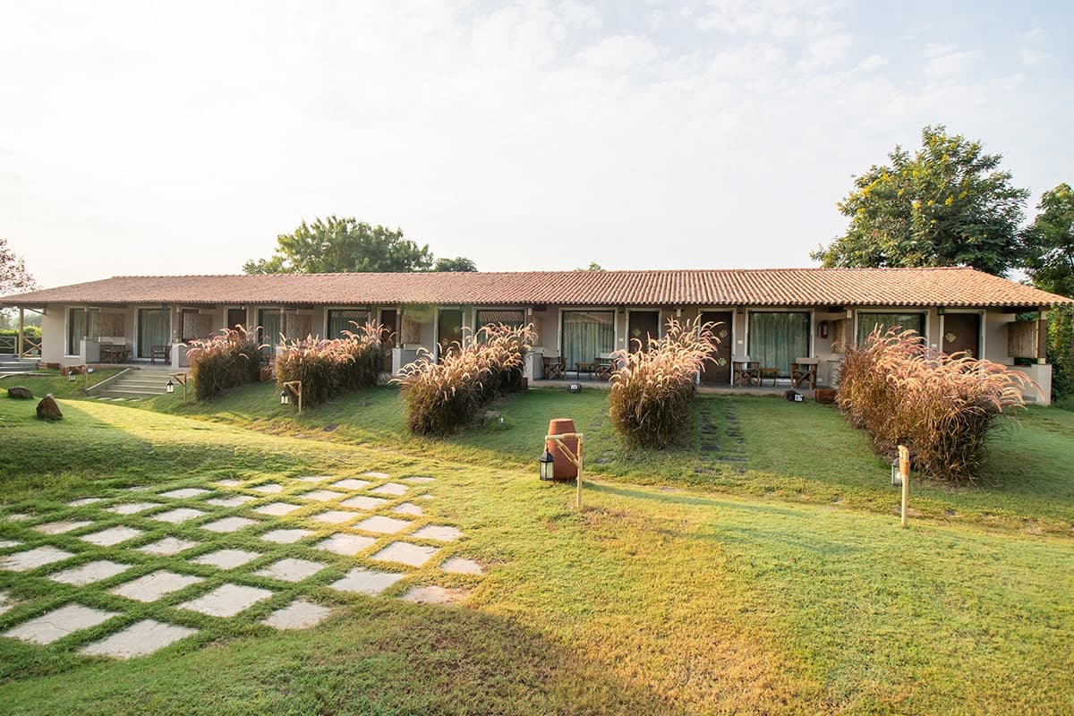 Row of Deluxe AC Cottages with garden pathway at Asiatic Lion Lodge, Gir