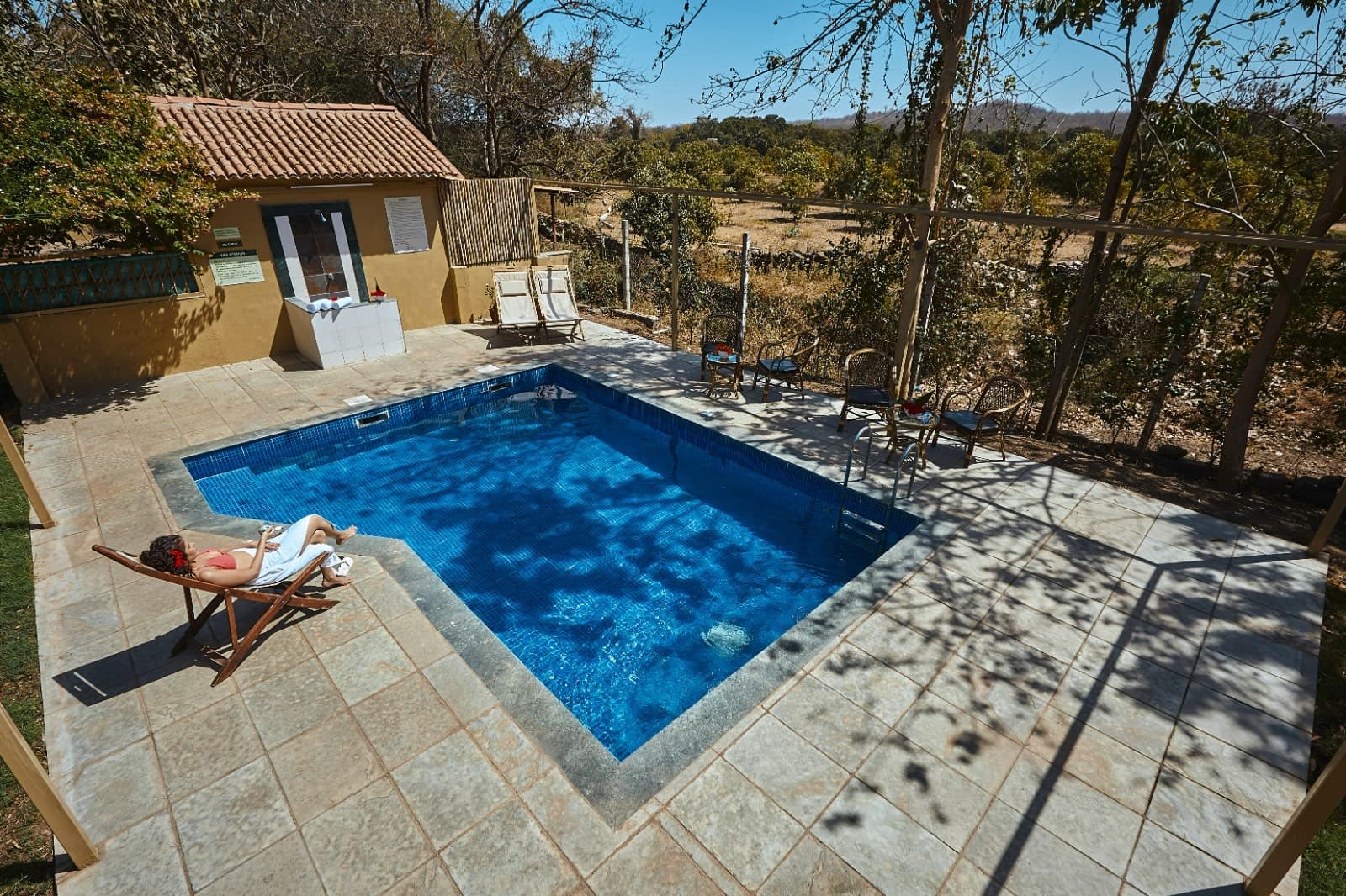 Plunge swimming pool with stone deck at Asiatic Lion Lodge, Gir