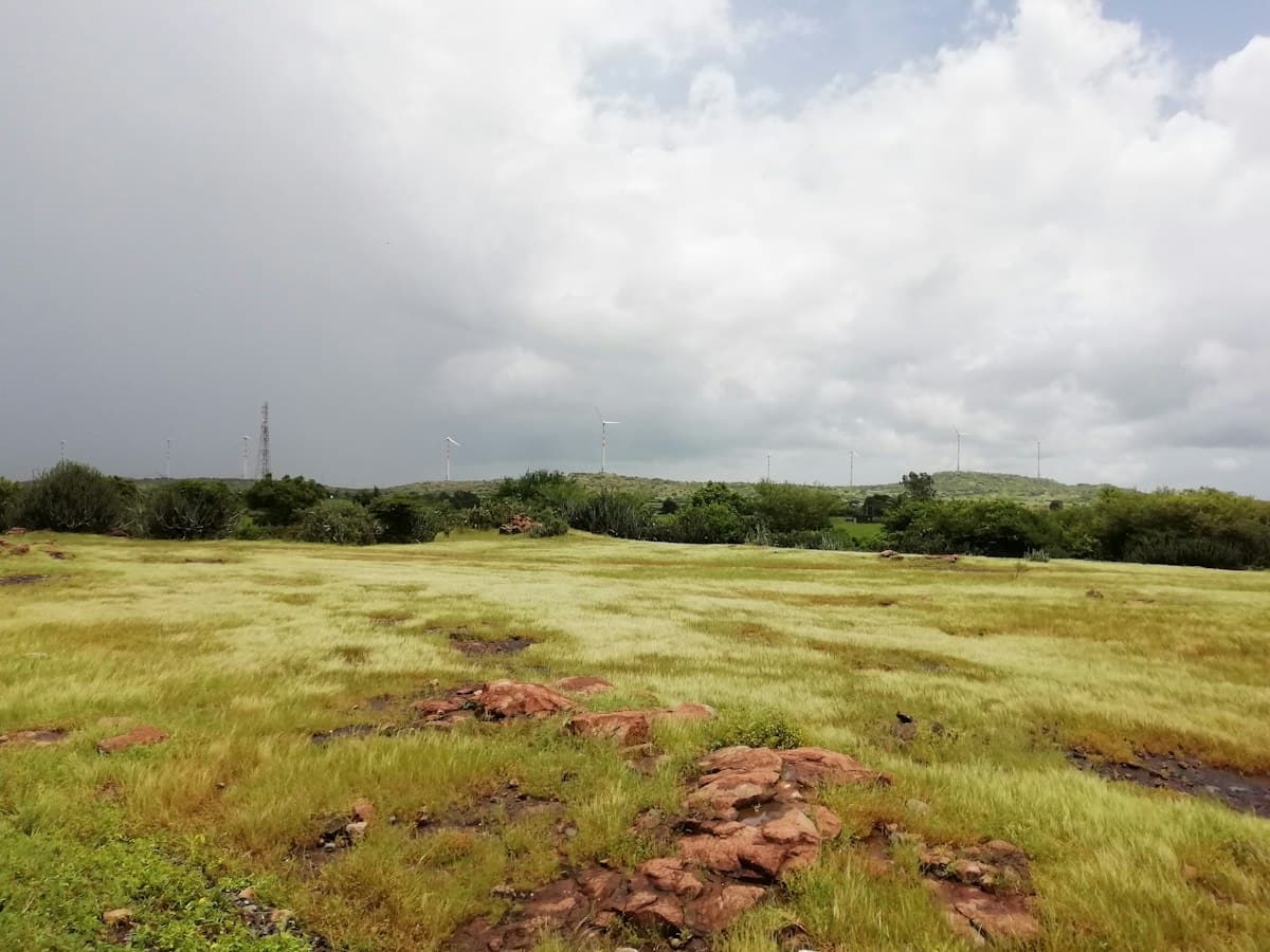 Green grassland and low hills with wind turbines under a cloudy sky near Kalavad in Saurashtra, Gujarat