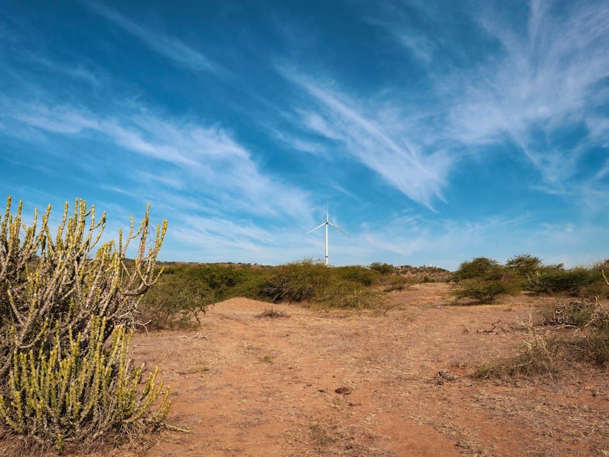 Scrub, cactus and red desert soil under a wispy blue sky with a distant wind turbine in the Kutch desert near Bhuj, Gujarat