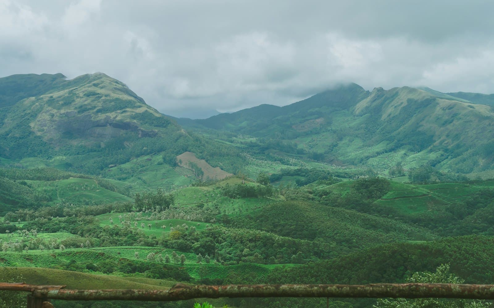 A green valley and cloud-covered mountains seen from Eravikulam National Park, Kerala