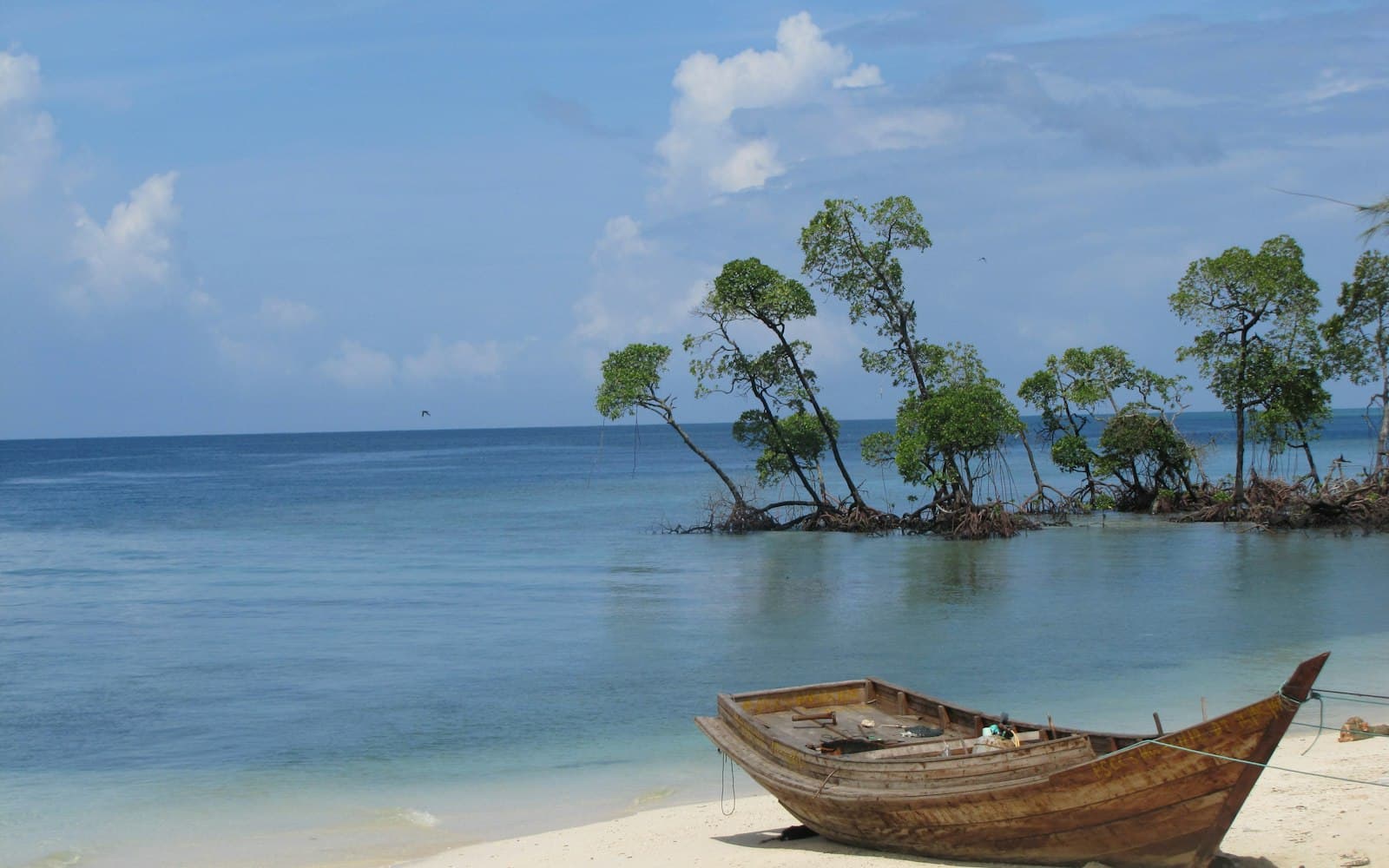 A wooden boat on the sand beside mangroves and calm water on Havelock Island, Andaman Islands
