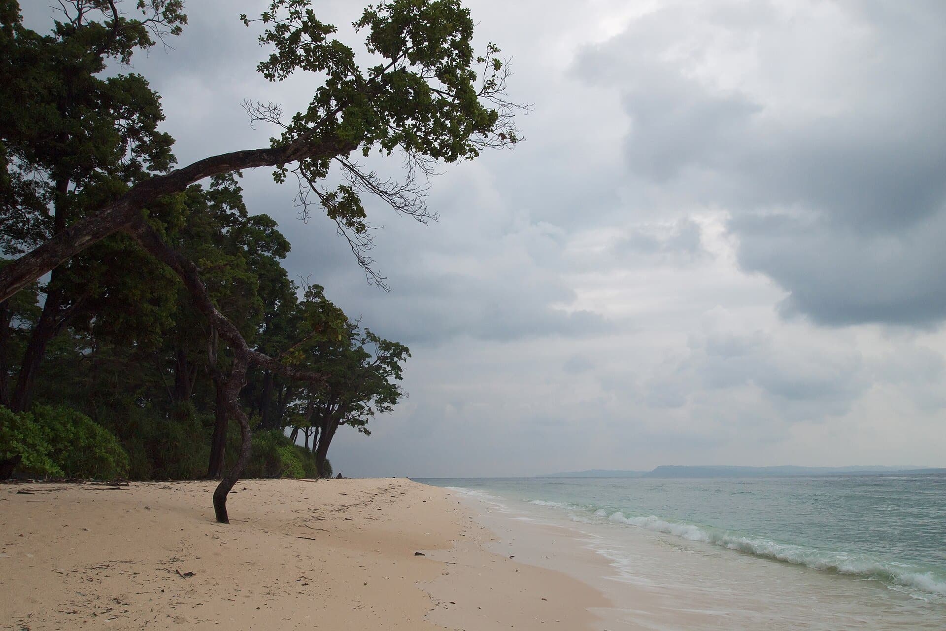 Pale sand and overhanging trees on Laxmanpur Beach, Shaheed Dweep (Neil Island)