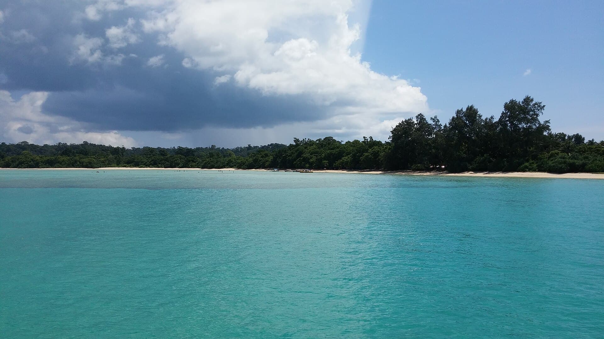 Turquoise water off Bharatpur Beach, Neil Island, with a forested shore beyond