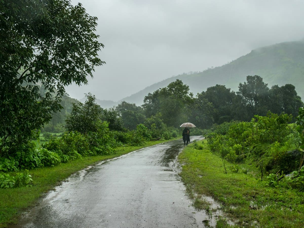 Monsoon-green Western Ghats road at Malshej Ghat, Maharashtra