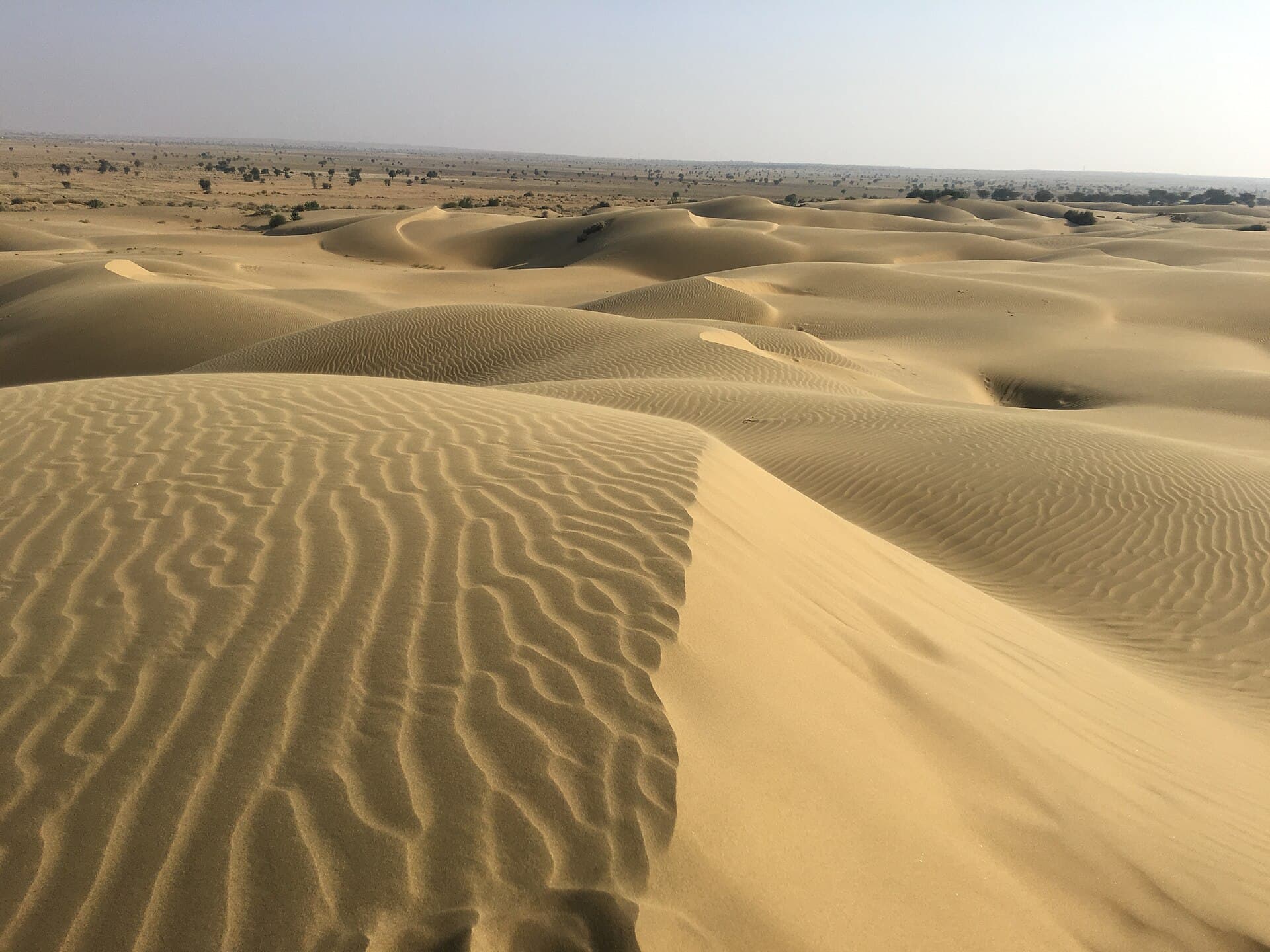 Rippled sand dunes at Sam near Jaisalmer under a pale sky