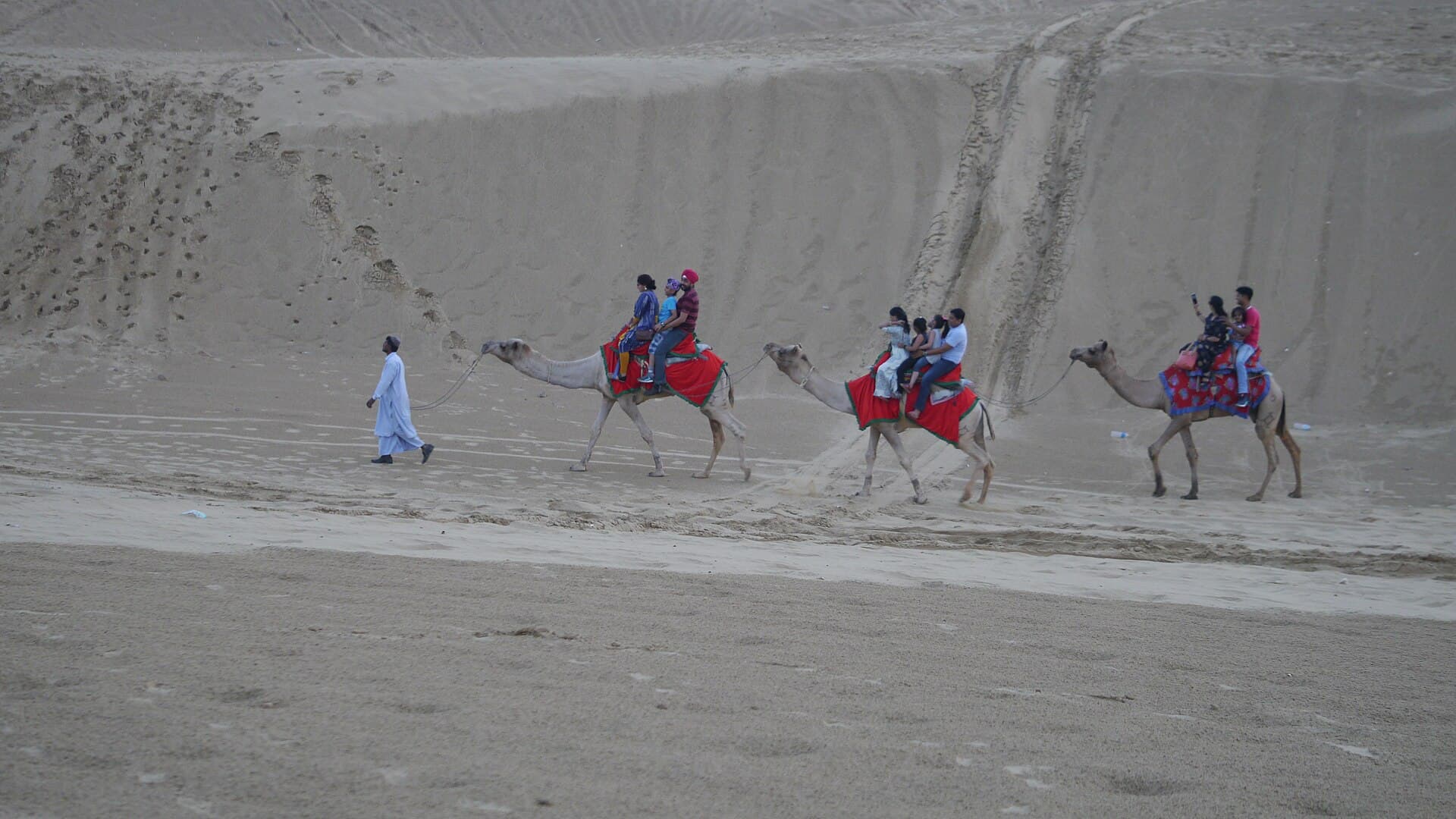Visitors riding camels across the Sam sand dunes, Jaisalmer