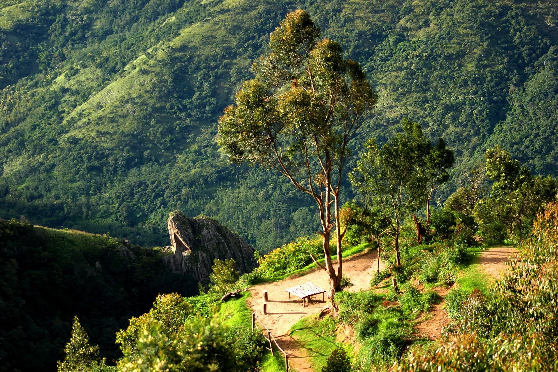 Green mountain slope and a path at the Top Station viewpoint near Munnar