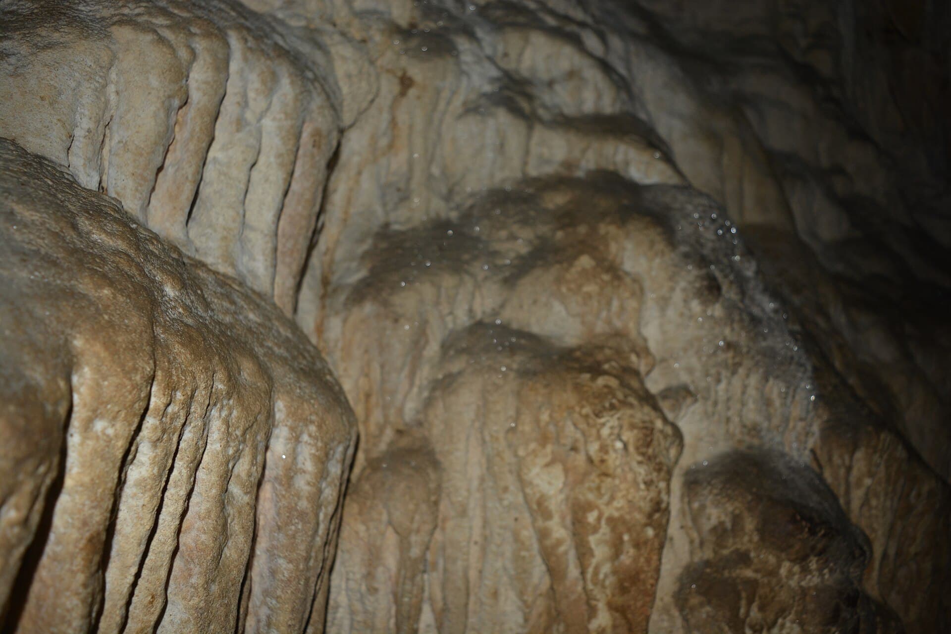 Rippled limestone formations on the wall of a cave at Baratang, Andaman