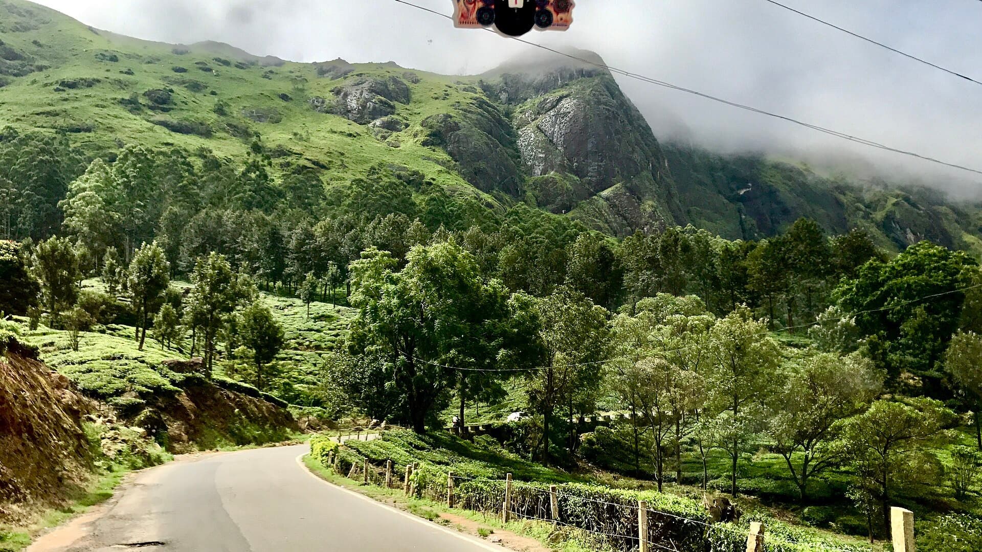 A hill road winding through green tea slopes on the way to Munnar from Kochi