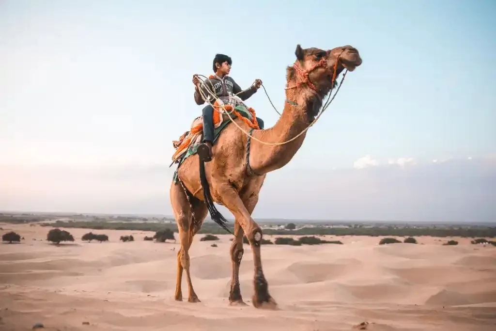 A photograph from Vijay Malhautra's journey